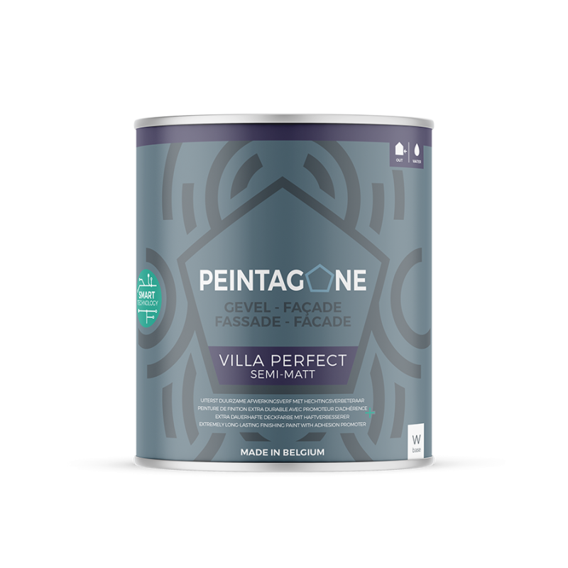 PEINTAGONE VILLA PERFECT