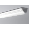 TI 2M MOLDING